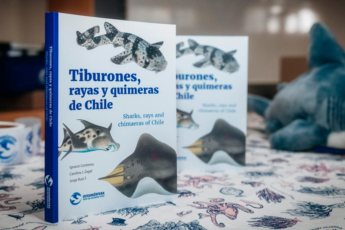 Pilcomañi ECMPO: A New Conservation Space for the Community