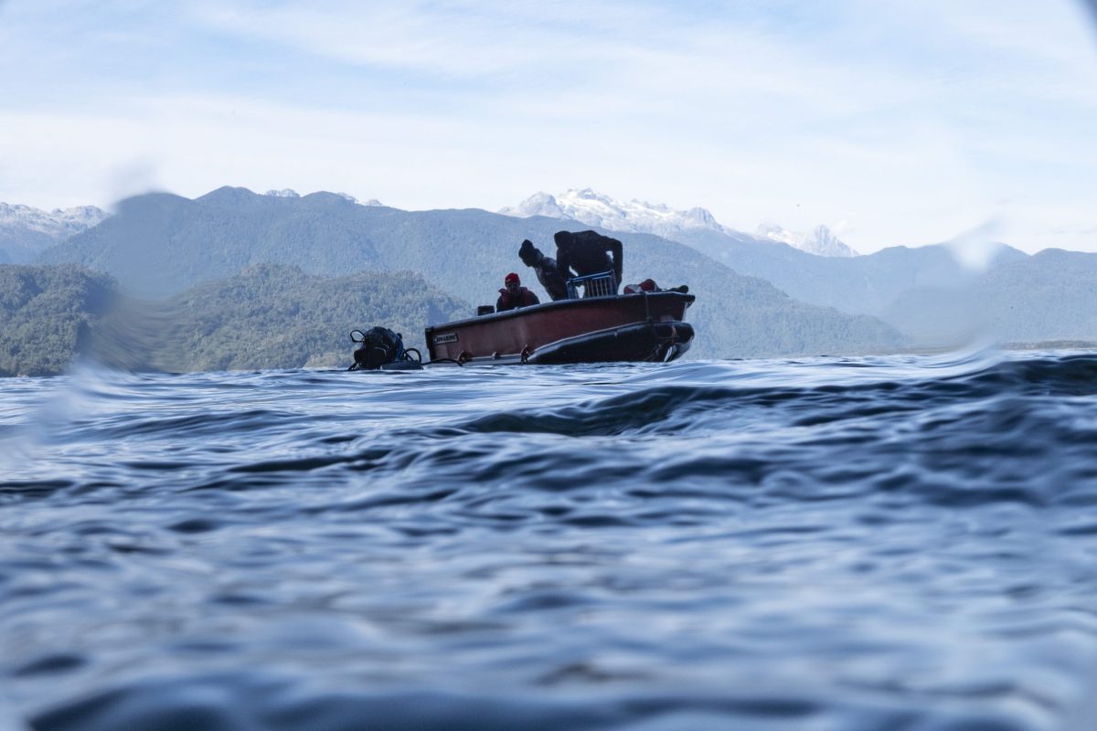 Pilcomañi ECMPO: A New Conservation Space for the Community