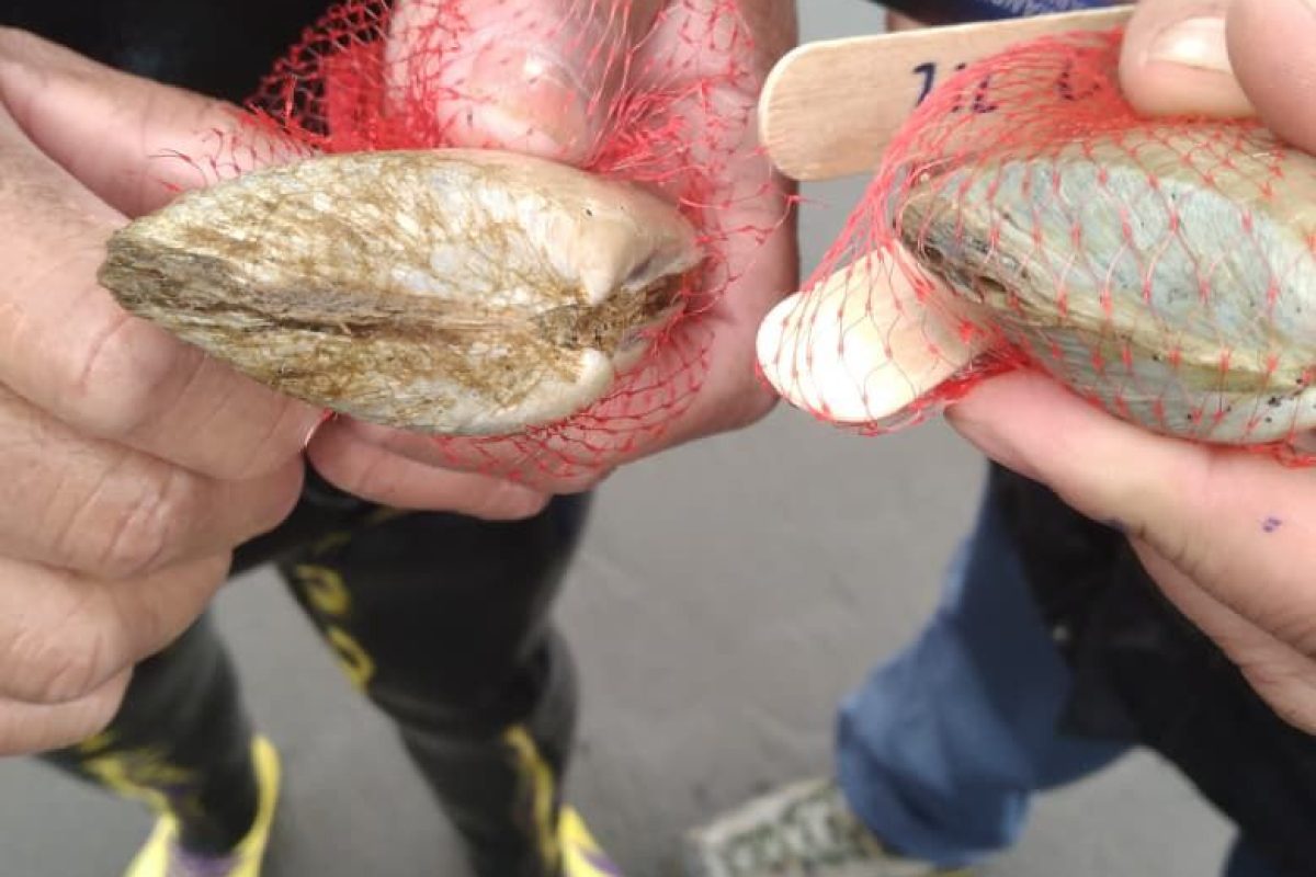 ECMPO Pilcomañi: Un Nuevo Espacio de Conservación para la Comunidad