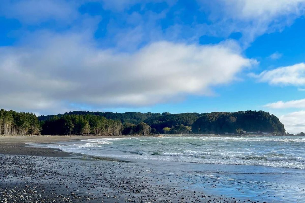 ECMPO Pilcomañi: Un Nuevo Espacio de Conservación para la Comunidad
