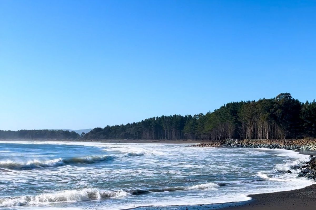ECMPO Pilcomañi: Un Nuevo Espacio de Conservación para la Comunidad