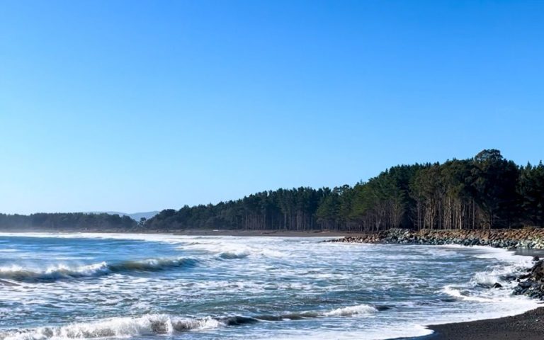 Pilcomañi ECMPO: A New Conservation Space for the Community